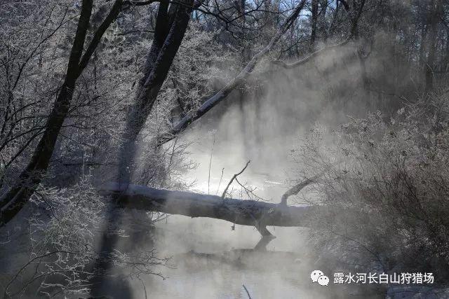 2024年，我们和海南自贸港一起载梦远航！
