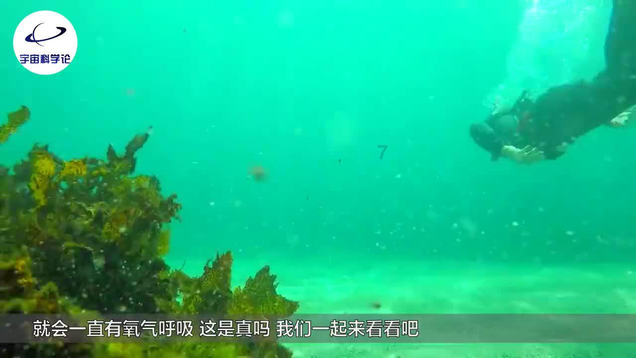 中信银行获国信证券增持评级,规模稳健增长,盈利能力稳定